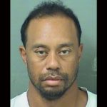 Tiger's mugshot