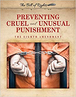 Eighth Amendment Another Constitutional Protection ⋆ McGuire Law Offices  Serving Clearwater, Pinellas County and Tampa Bay Florida